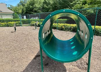 Dog Park equipment at Alden Place at South Square 27707